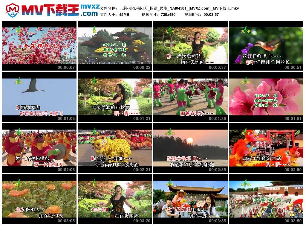 王莉-走在艳阳天_国语_民歌_NAI04581